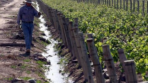 encadenamiento productivo: una oportunidad para potenciar la economia de mendoza
