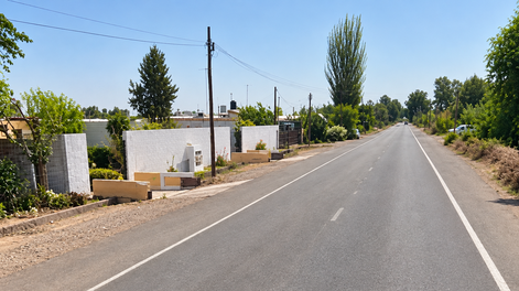 Carril Chimbas, Palmira, San Martín.