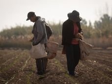 Productores en alerta por el consumo en baja, los costos en alza y los precios irrisorios