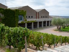 Bodega Atamisque está ubicada en San José, Tupungato, en el Valle de Uco.&nbsp;