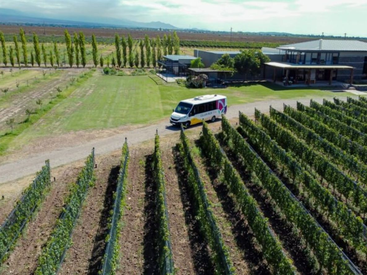 Wine Bus este sábado: cuánto cuesta recorrer tres bodegas premiadas de Mendoza y probar sus vinos